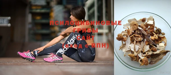 мяу мяу мука Баксан
