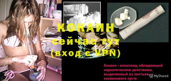 мяу мяу мука Баксан