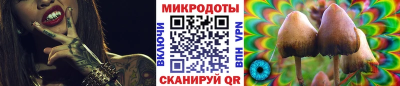 Псилоцибиновые грибы Cubensis  Красноперекопск 